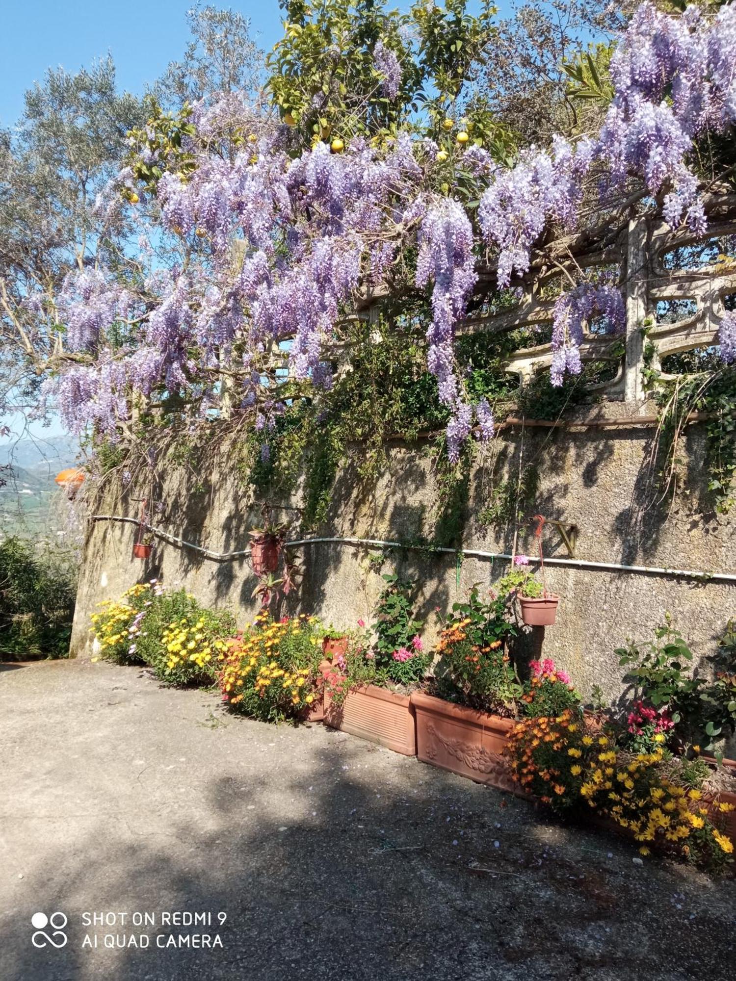 Belvedere Di Caiazzo المظهر الخارجي الصورة